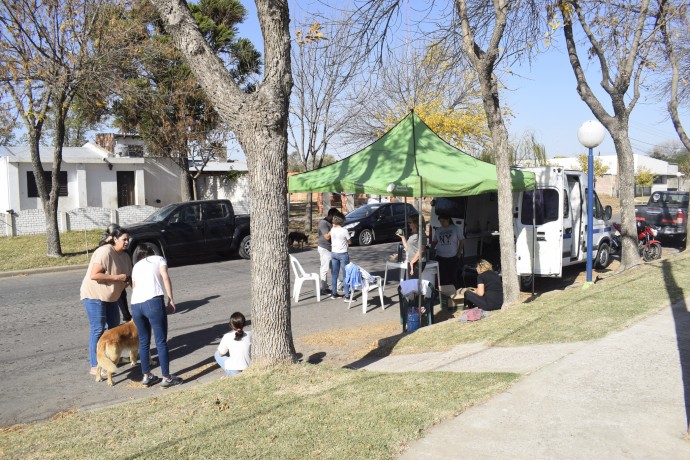 Se llevó adelante una jornada por el Día del Animal