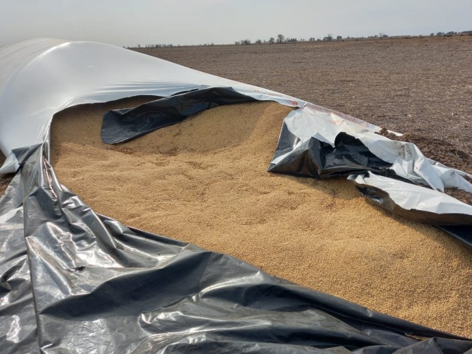 Robo de soja en dos establecimientos agropecuarios