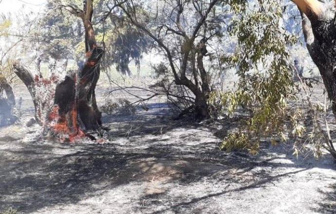 Incendio de monte y vuelco sobre Ruta Nacional N° 5