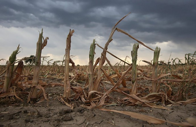 Emergencia agropecuaria para productores de Salliqueló