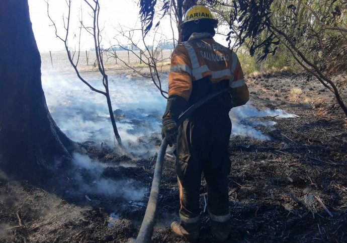 Denuncian que continúan los incendios de banquina intencionales