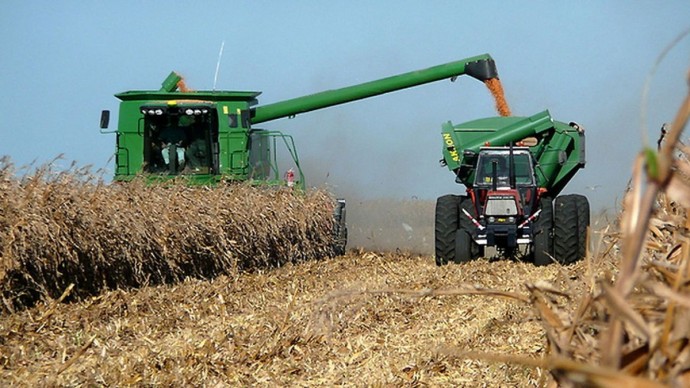 Estiman producción de 6,06 millones de toneladas de maíz 