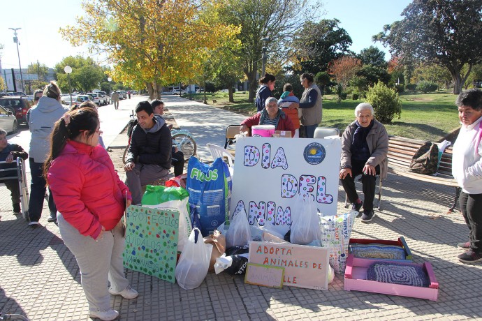 Se realizó la tradicional colecta solidaria por el Día del Animal