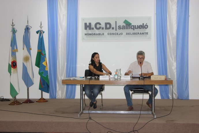 Consenso unánime en la sesión extraordinaria del HCD