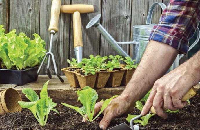 Dictarán una capacitación sobre huerta familiar